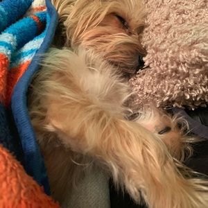 Meet your Posher, Maleah